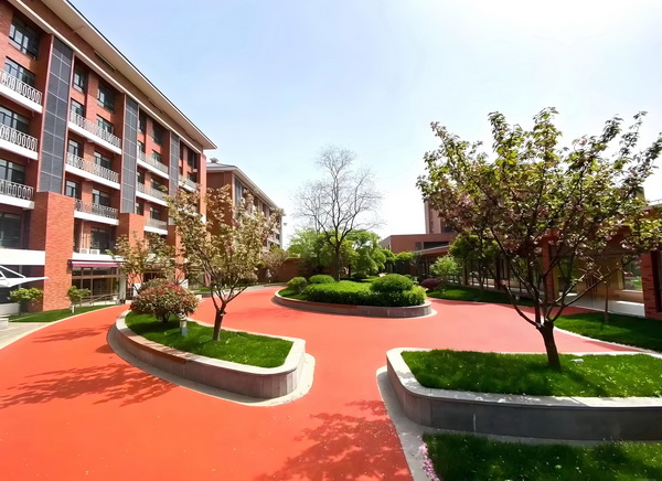 深圳入户去哪_这版超人如何应对特朗普的时代 与建议综看总结合来