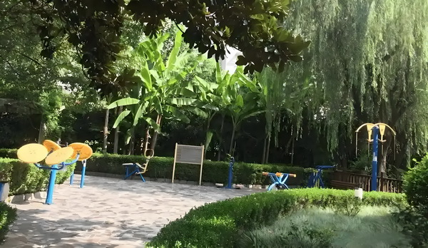 深圳落户补贴_朝雪录结局：智性恋上大分，“千燕莞语”不是说说而已 结语高养老院费用虽