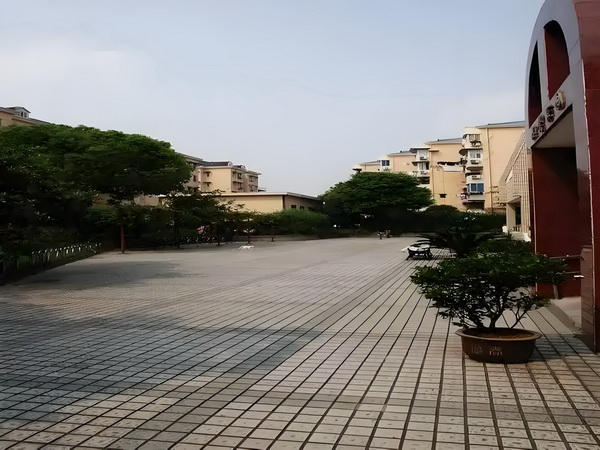 引进入深户_53岁朱茵住山里开破车？ 目前员送医救在伤治以后